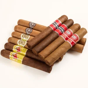 Timeless Ten Collection